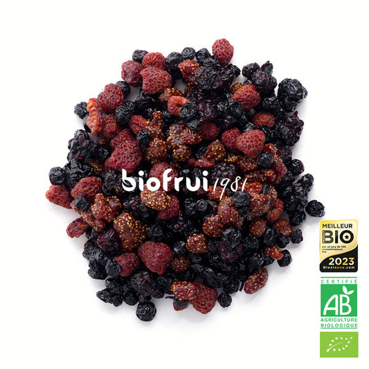 Mix superfruits rouges des alpes dinariques séchés bio - 2